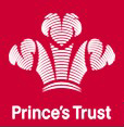 PrincesTrustLogo