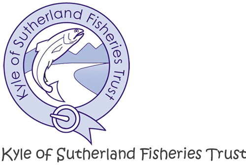KOSHS logo